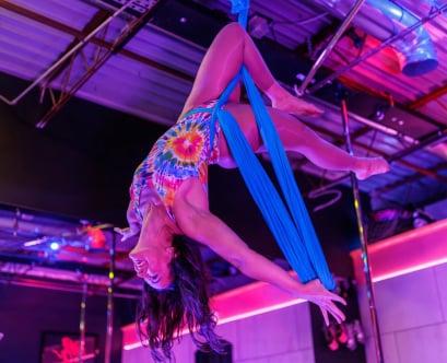 Silks